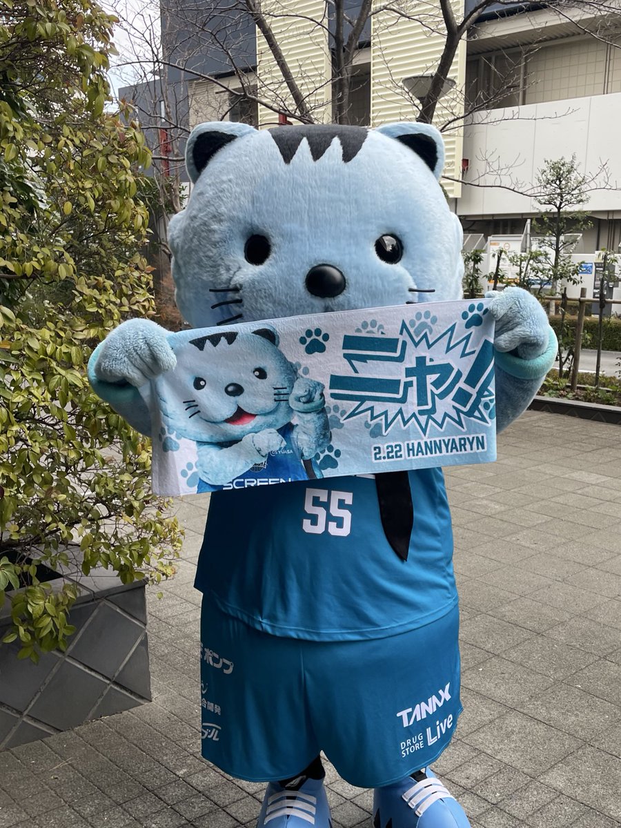 我が家にも #ネコの日タオル 🐱が届いたニャ🤗 (#しっぽチャーム も