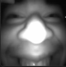 Project Babble tweet media