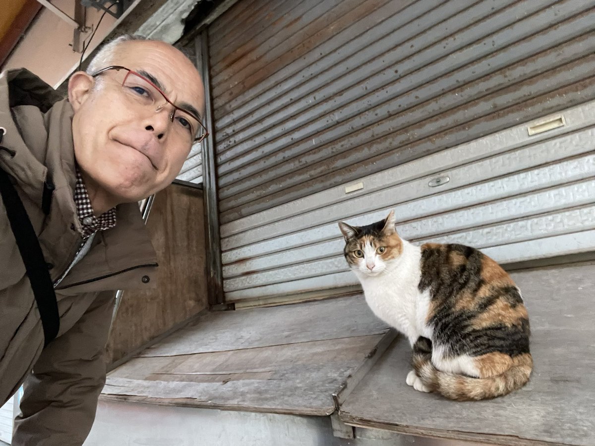 2/22今日は猫の日なのニャン。
#猫Kumako #猫Chai #猫Sabi #猫Guri
#Bo_nyans