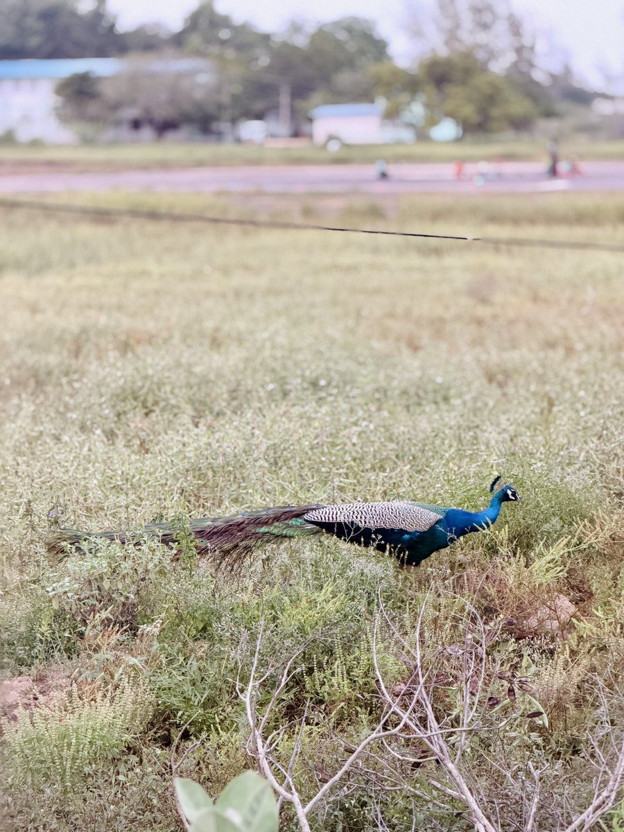 Divyanshu Nigam, IAS (திவ்யான்ஷு) tweet media