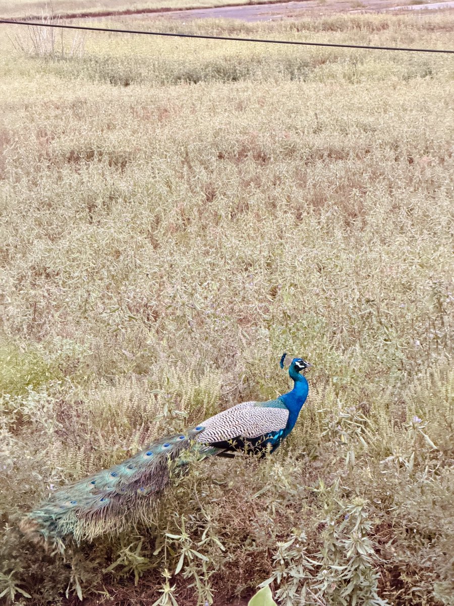 Divyanshu Nigam, IAS (திவ்யான்ஷு) tweet media