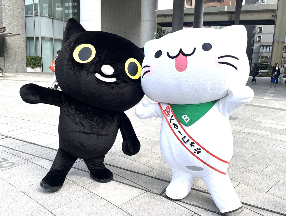 #猫の手で猫の日を盛り上げ隊2026
べるーにゃ(<a href="/BELLUNA_/">べるーにゃ【ベルーナ公式】</a> )さんとハイポーズ📷😺

一緒にぴょんぴょんジャンプをしました💫
べるーにゃさん、緑のスカーフがかっこいいですね！

#猫の日
#にゃんにゃんにゃんの日
#ヤマト運輸 
#にゃマト運輸