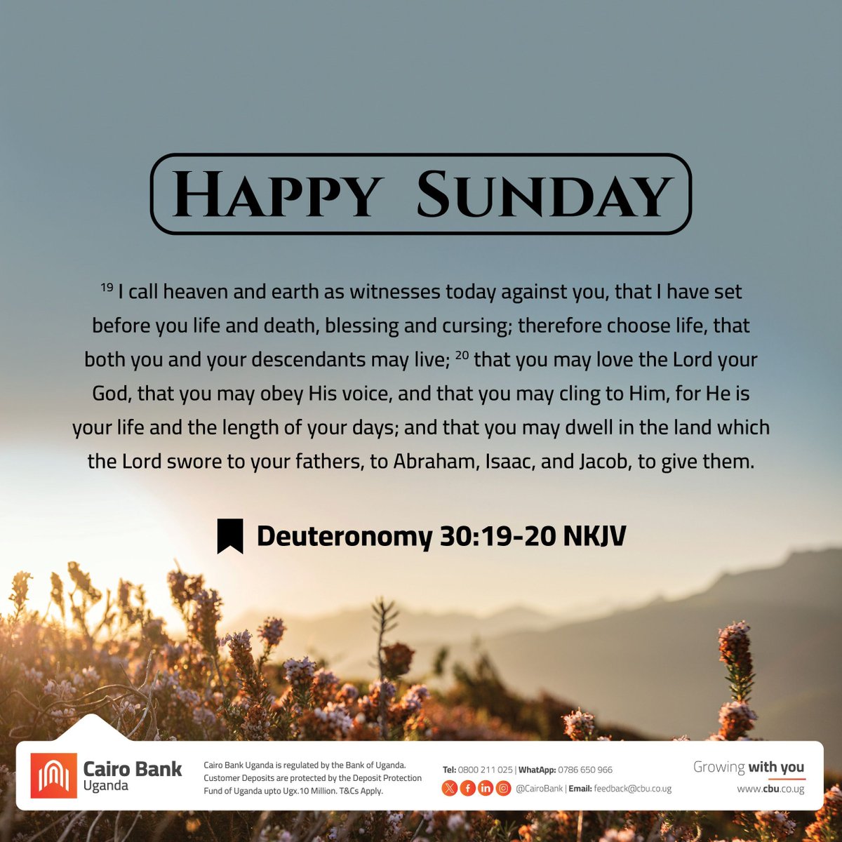 Choose life. Choose blessings. Choose hope. God gives us the power to decide our path every day. When we choose Him, we find strength, purpose, and a future full of promise.

#ChooseLife #FaithOverFear #CairoWay #GrowingwithYou