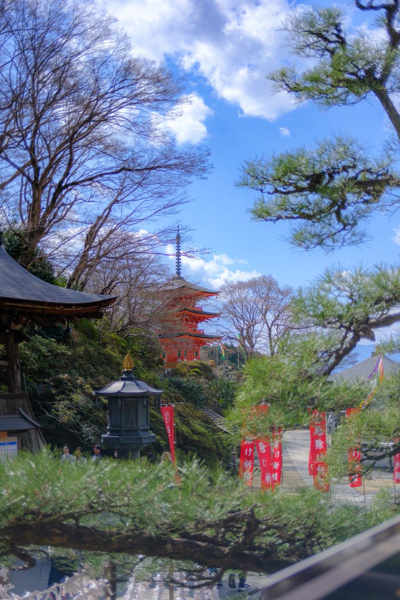 西国第七番 岡寺 tweet media