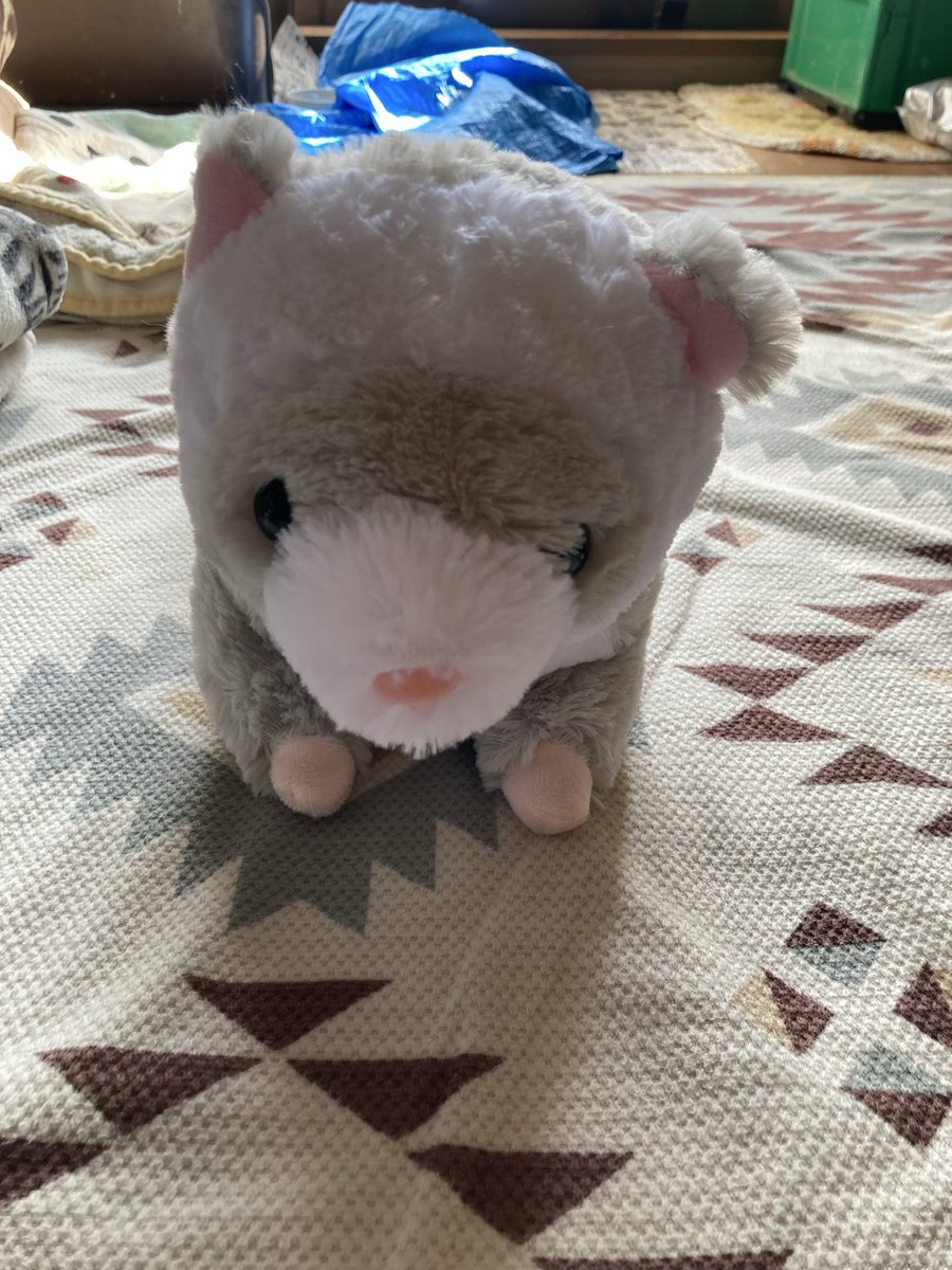 hakuntom's tweet photo. お友達の旦那様が一発で取ってくれたー😍
#フェレぬい https://t.co/CfTDVyMbiU