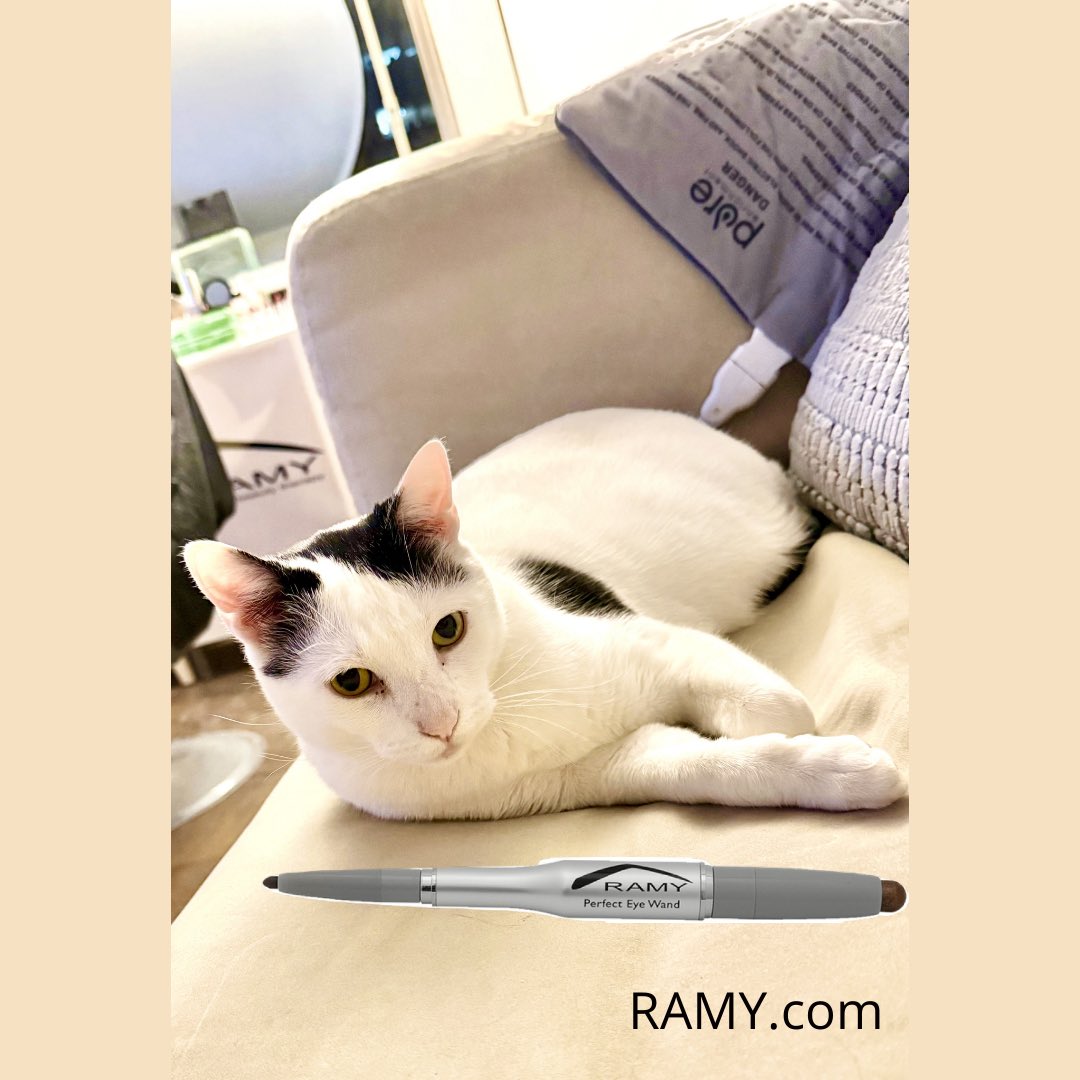 Ramy Gafni tweet media