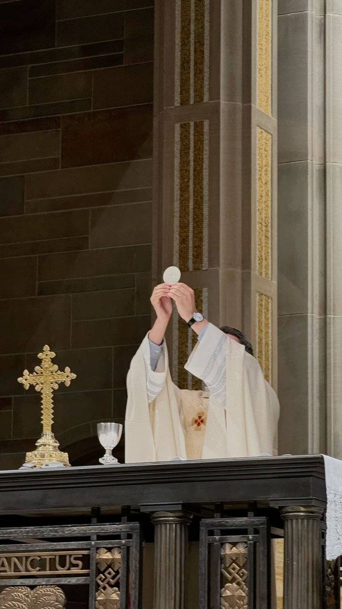 That Catholic Guy 🇻🇦 tweet media