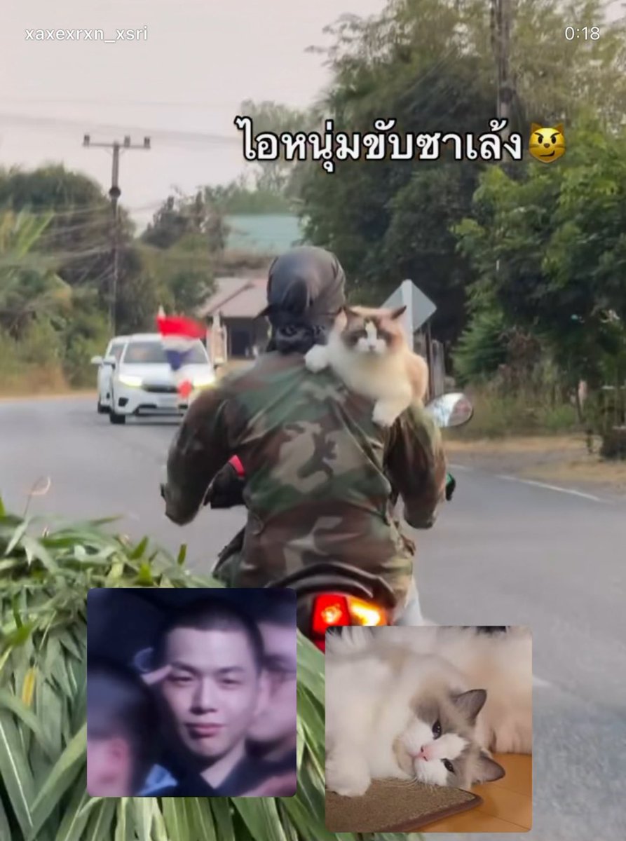 สงสัยวันนี้ออกมาปฏิบัติหน้าที่ข้างนอก