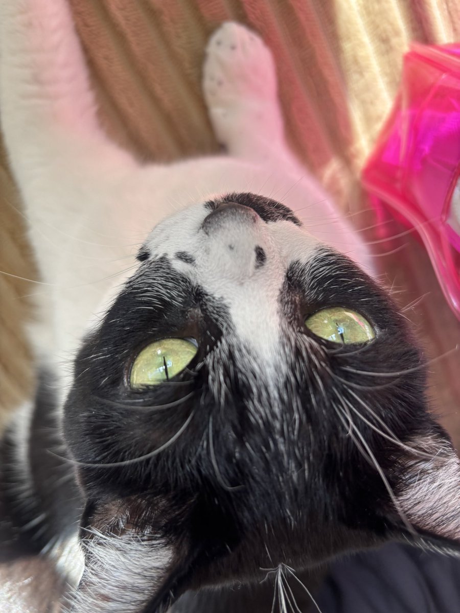 あんちゃんページ ぱ☀️ 今日は下北沢駅前観覧無料ライブ！17:15〜45分間ななちゃんと二