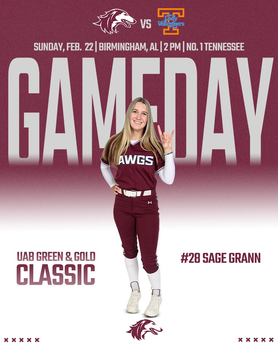 Saluki Softball tweet media