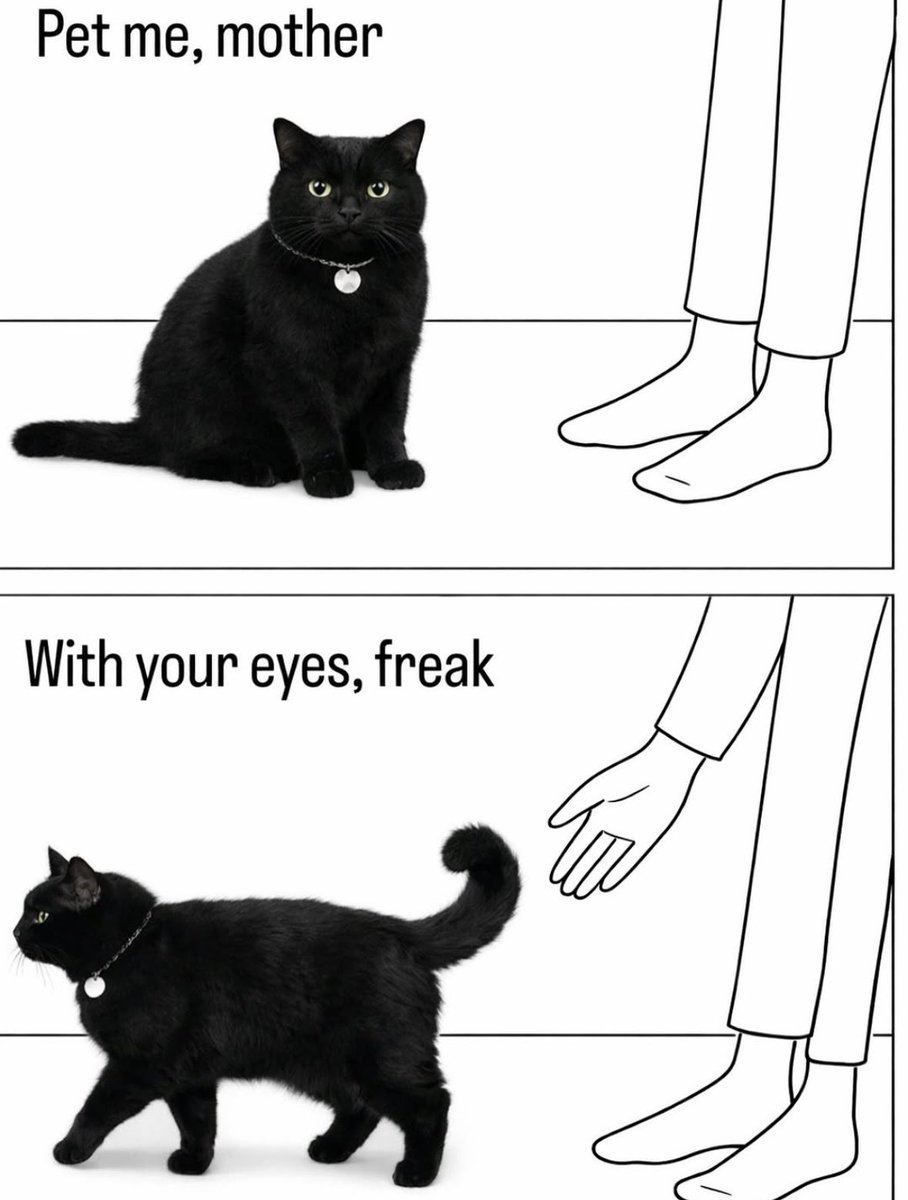 CatKnowsNth's tweet image. So real