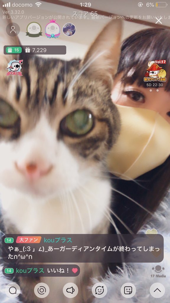 amamiyuuna3's tweet photo. #猫の日なので今まで撮った中で最高の猫写真貼る https://t.co/nDHzbjKy7Q
