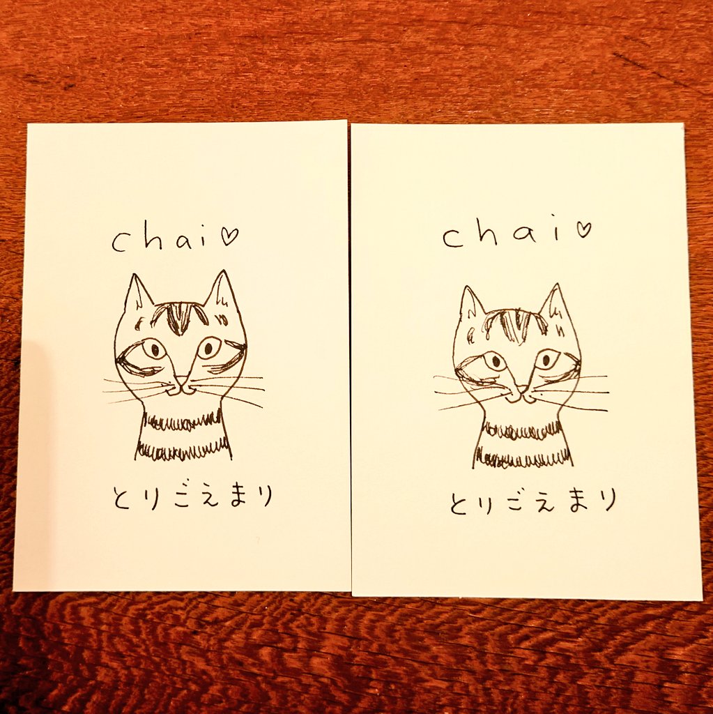 チャイちゃんサインカード付き絵本は完売しました🐈️🐈️ そらくんも