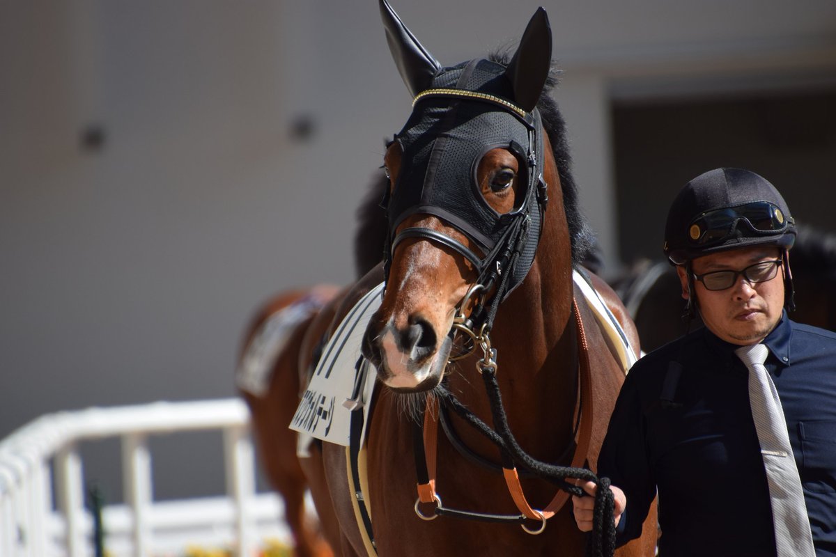 yousuke (@nsw0hqOoZI41867) / Posts / X