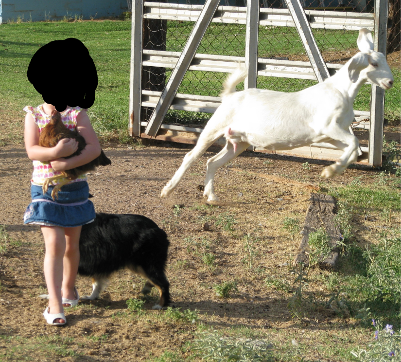 Jane Doe ☦️ 📚 tweet media