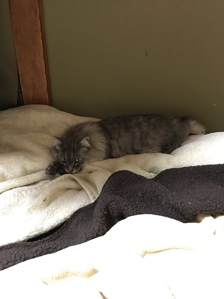 さんそ tweet media