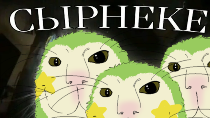 Mihuy🪳🪳 (@jopahuika_228) on Twitter photo 