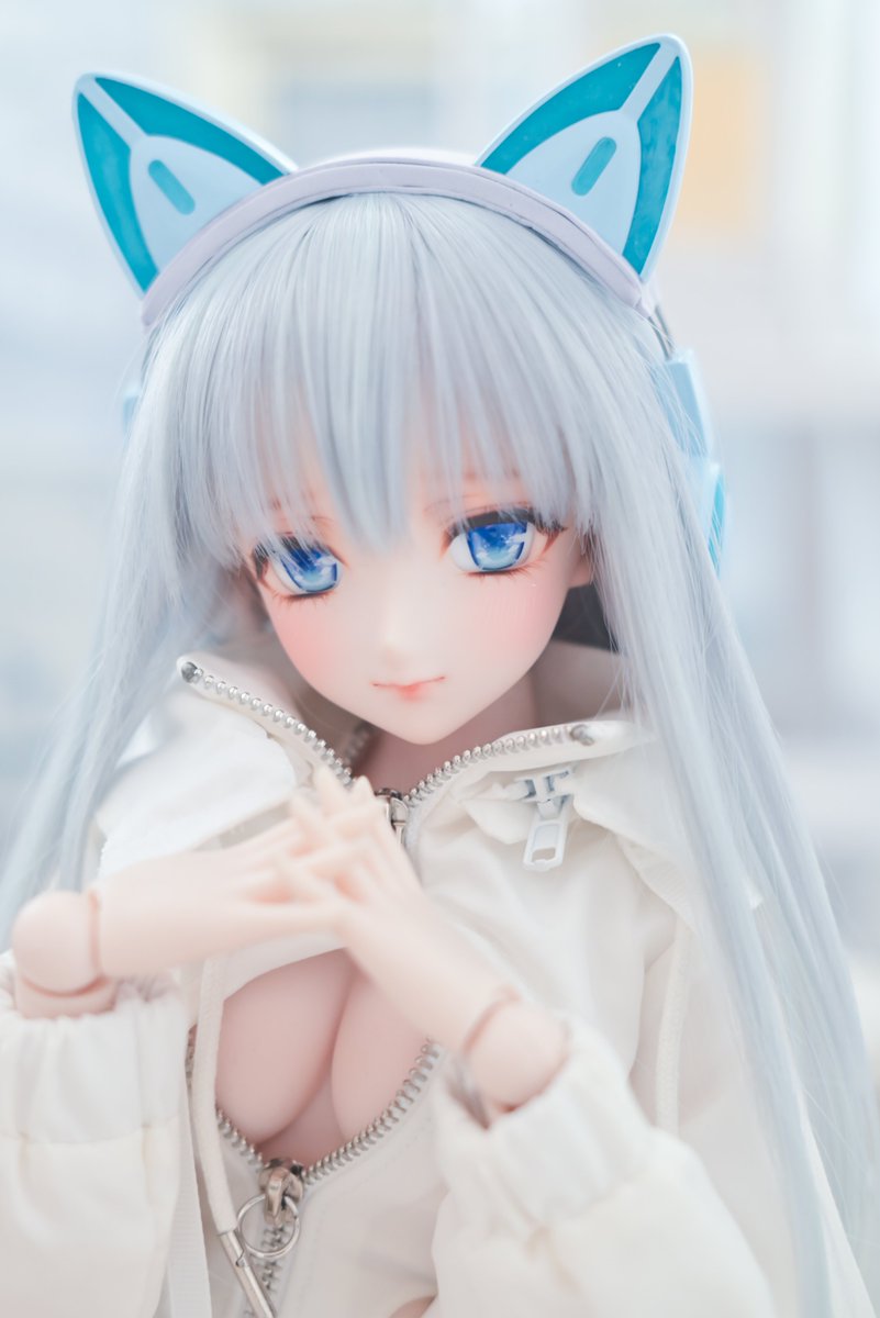 猫の日🐱