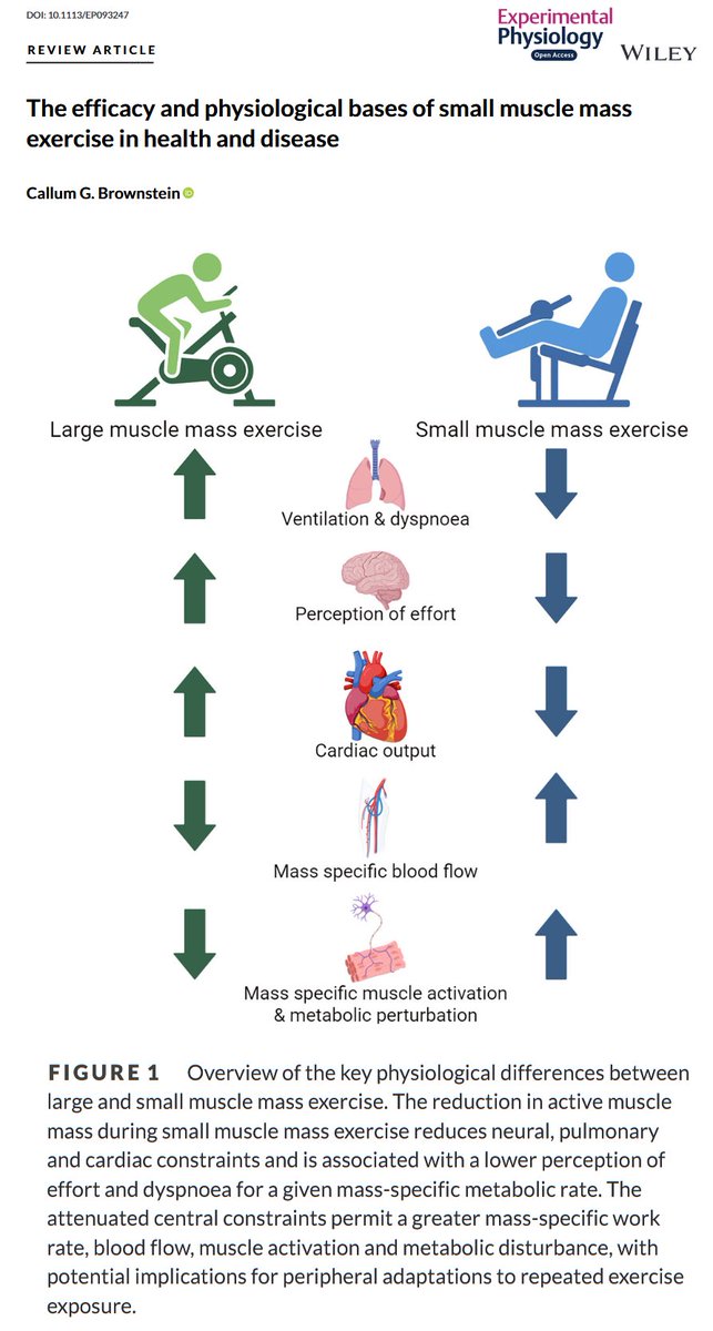 This review outlines the key physiological differences between