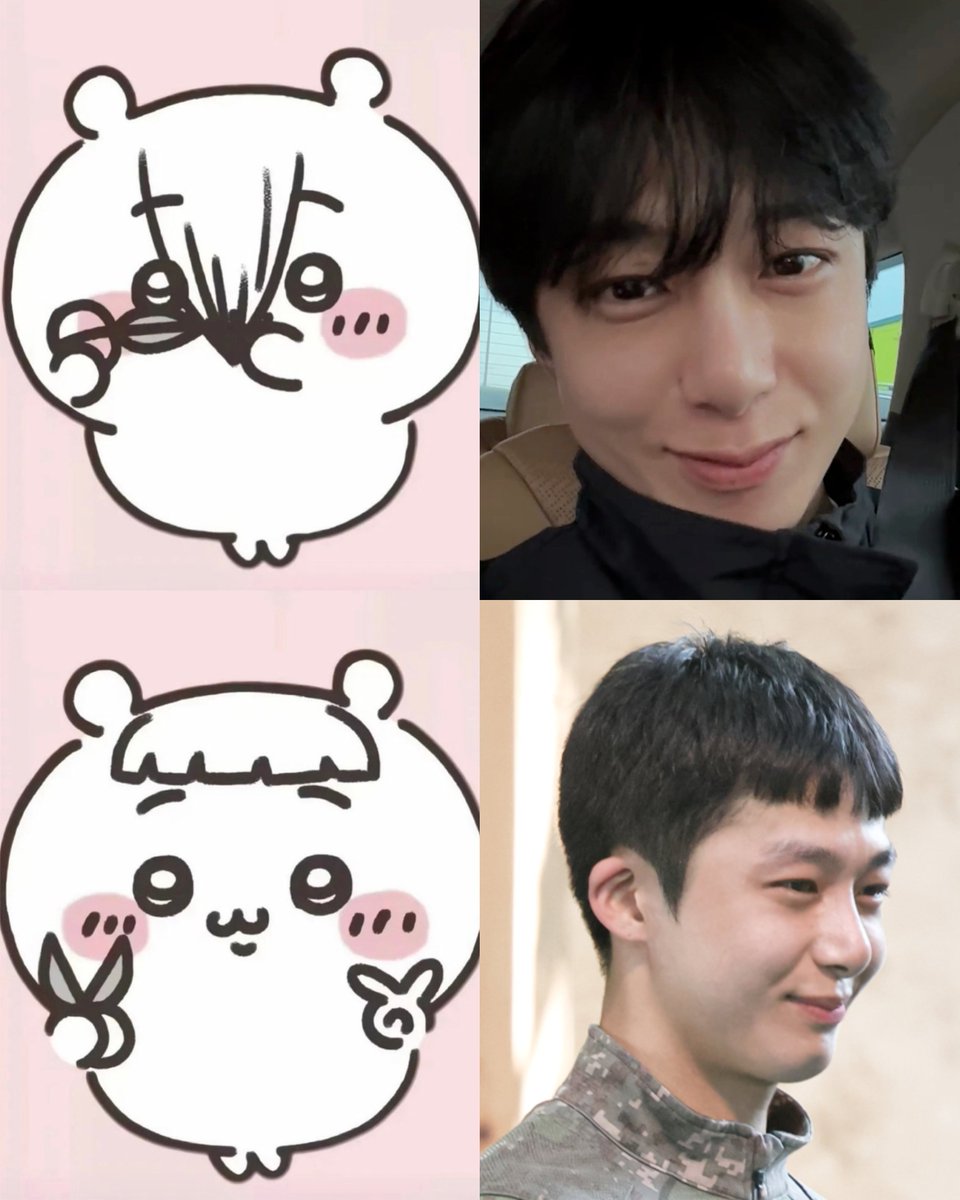 채모네🍋 tweet media