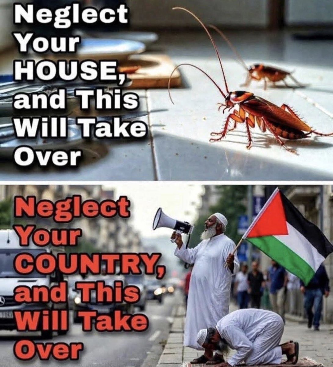 Rhodasifo's tweet image. 