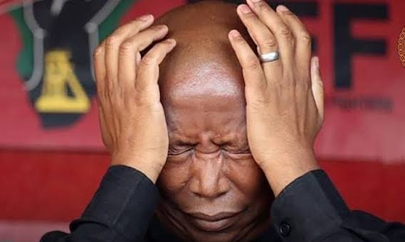 𝐋𝐄𝐒𝐋𝐄𝐘 𝐏𝐈𝐄𝐓 tweet media