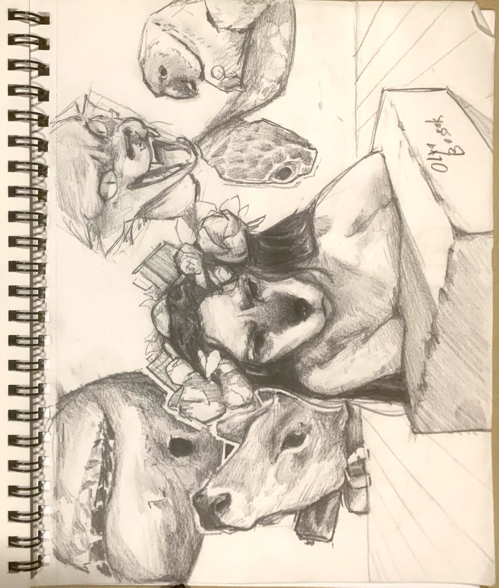 Austro🔜 FWA tweet media