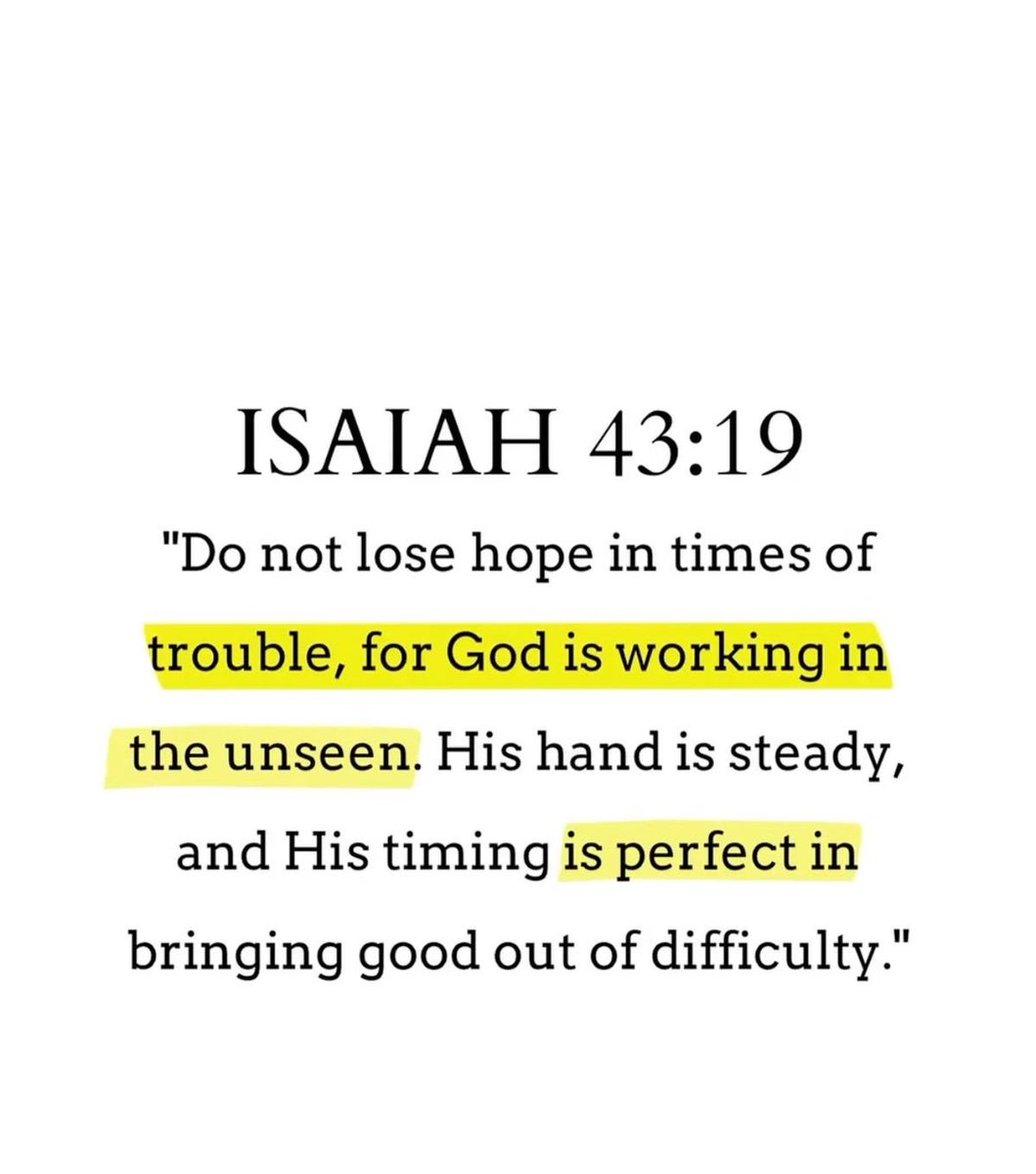 Holy Bible tweet media