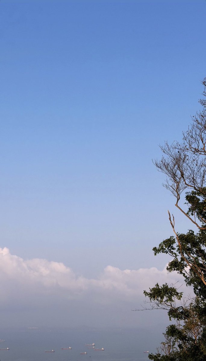 Build_Family FC tweet media