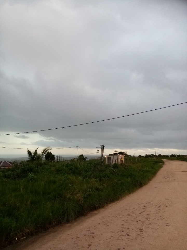 mahlephula's tweet photo. "Before you can speak, even before you take your first steps outside your house, there is a moment when you are  lost or found. It's a matter of language, accent, the current of the air, and those accidents that identify us - or not - with the place..." - Hilary Mantel
#Sundaytea https://t.co/Zu5zFCqHzF