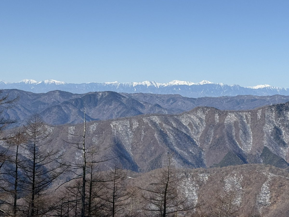 もきち tweet media