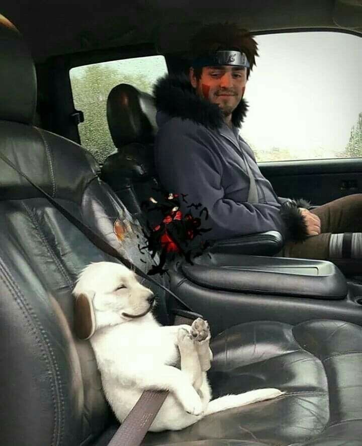 Daily Naruto tweet media