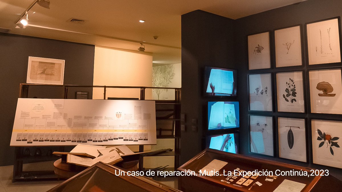 Museo de Antioquia tweet media