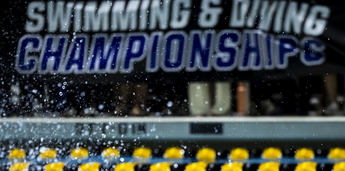 Jackrabbit Swim & Dive tweet media