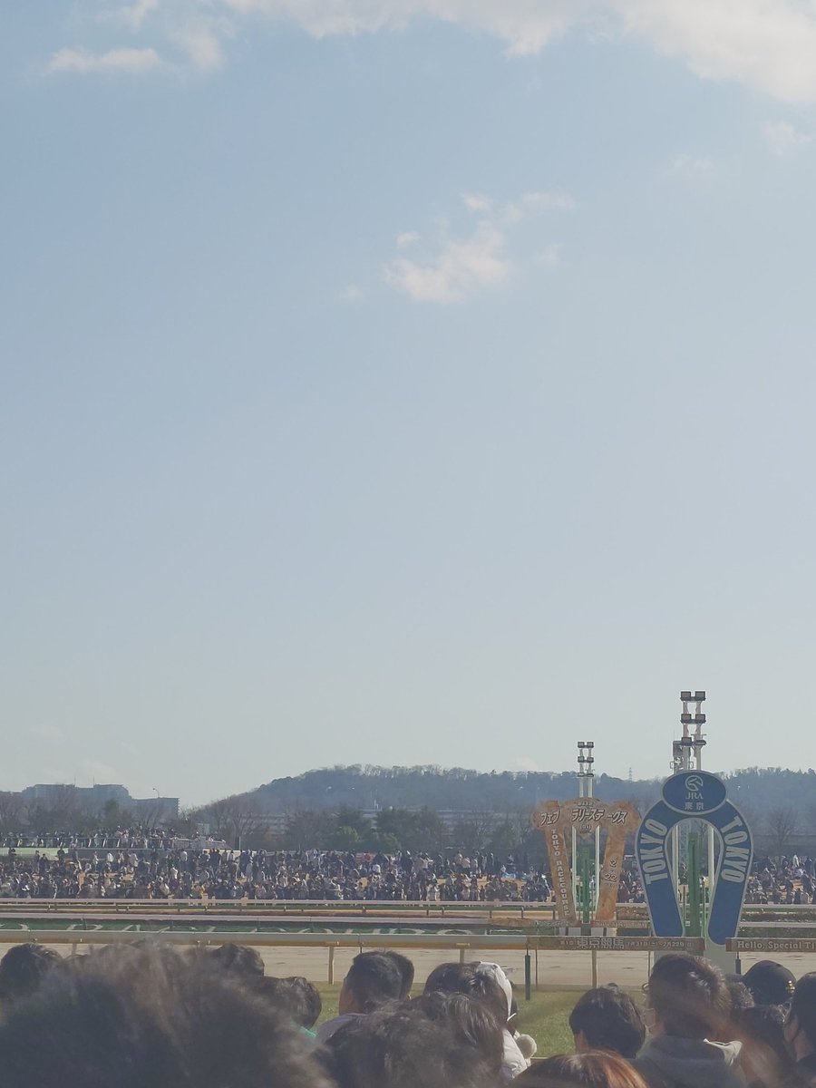 km_hide's tweet image. 久々の東京競馬場!