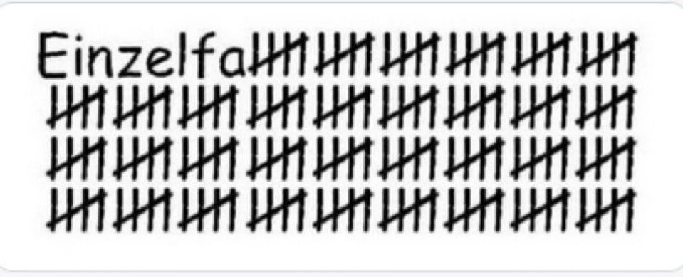 Bushrico tweet media