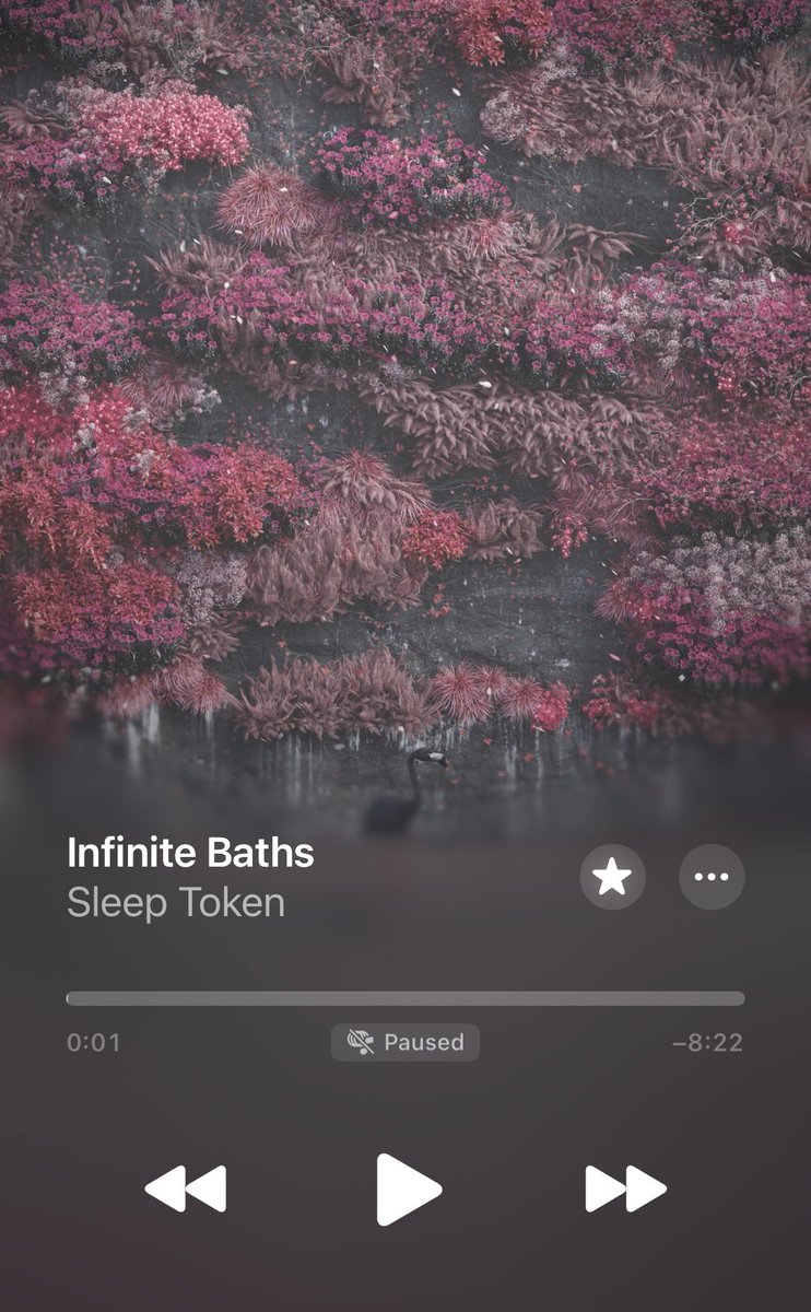 ivy rose 🥀 ᛑᛗᛛ tweet media