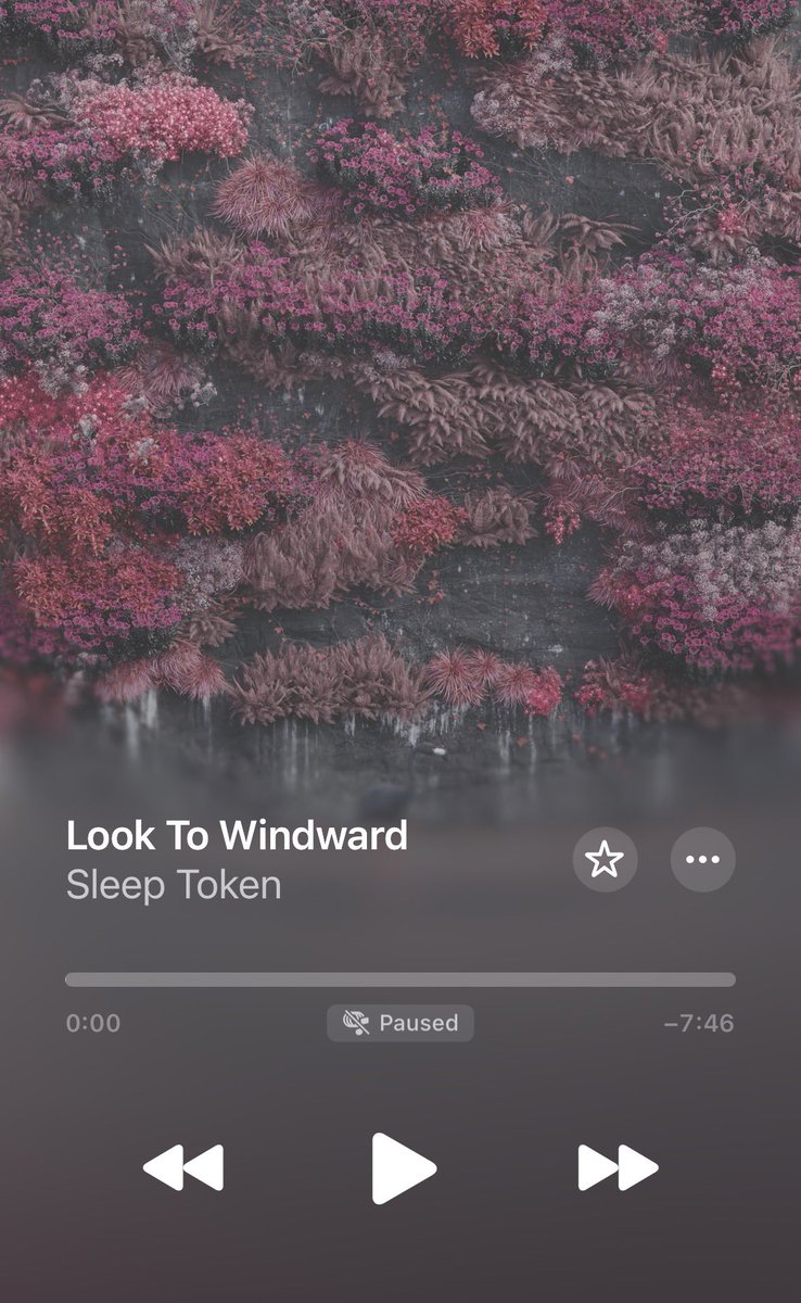 ivy rose 🥀 ᛑᛗᛛ tweet media