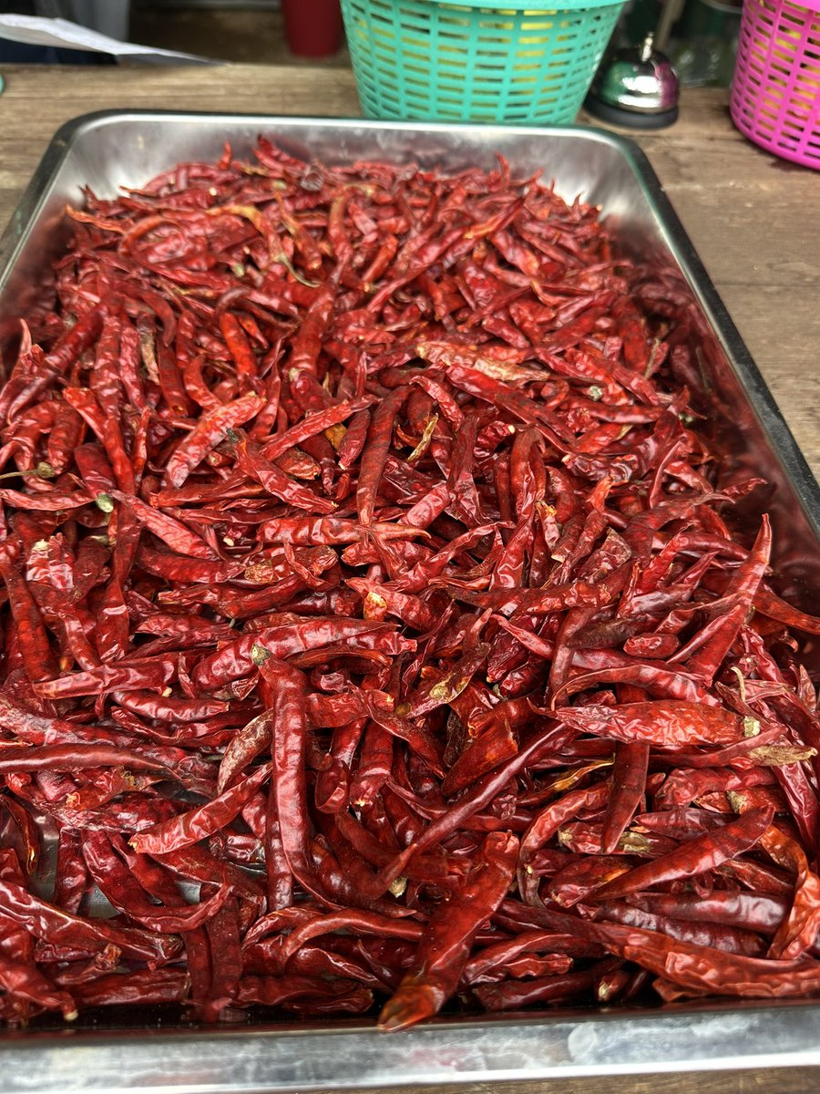 Dave's Travel Corner tweet media