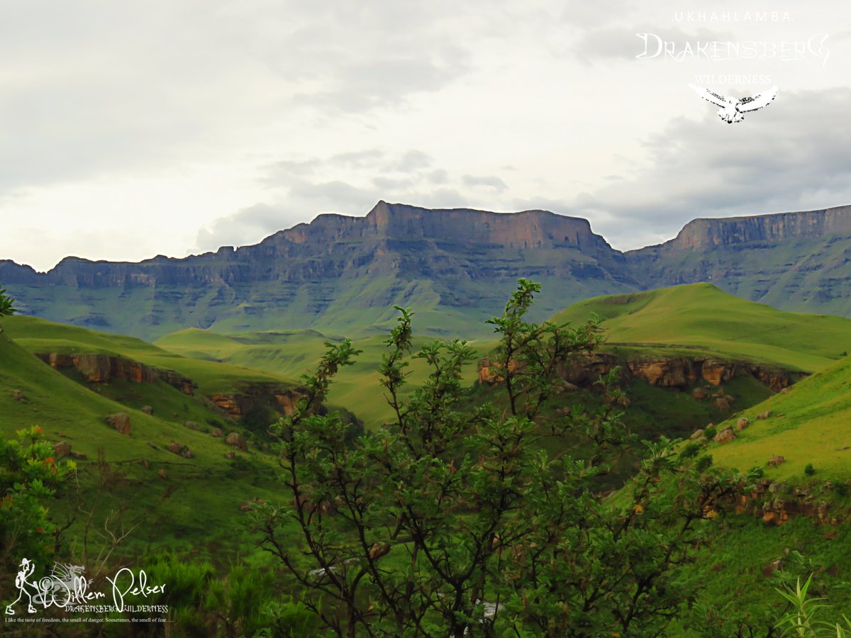 Central KZN Drakensberg Wilderness...............

hikingthedrakensberg.blogspot.com