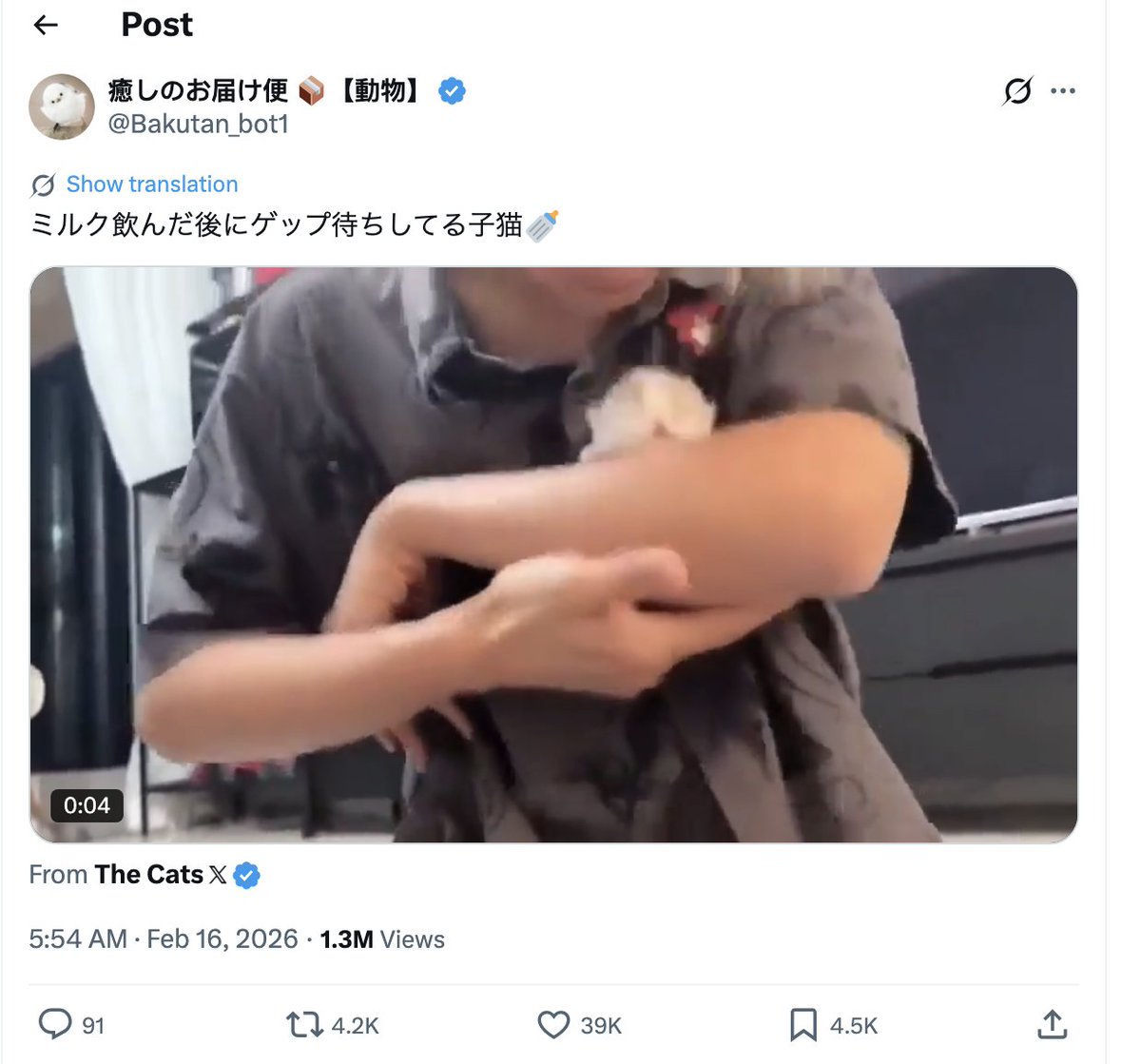 鲨鱼 SharkApΞs 🎲🎲🎲 tweet media