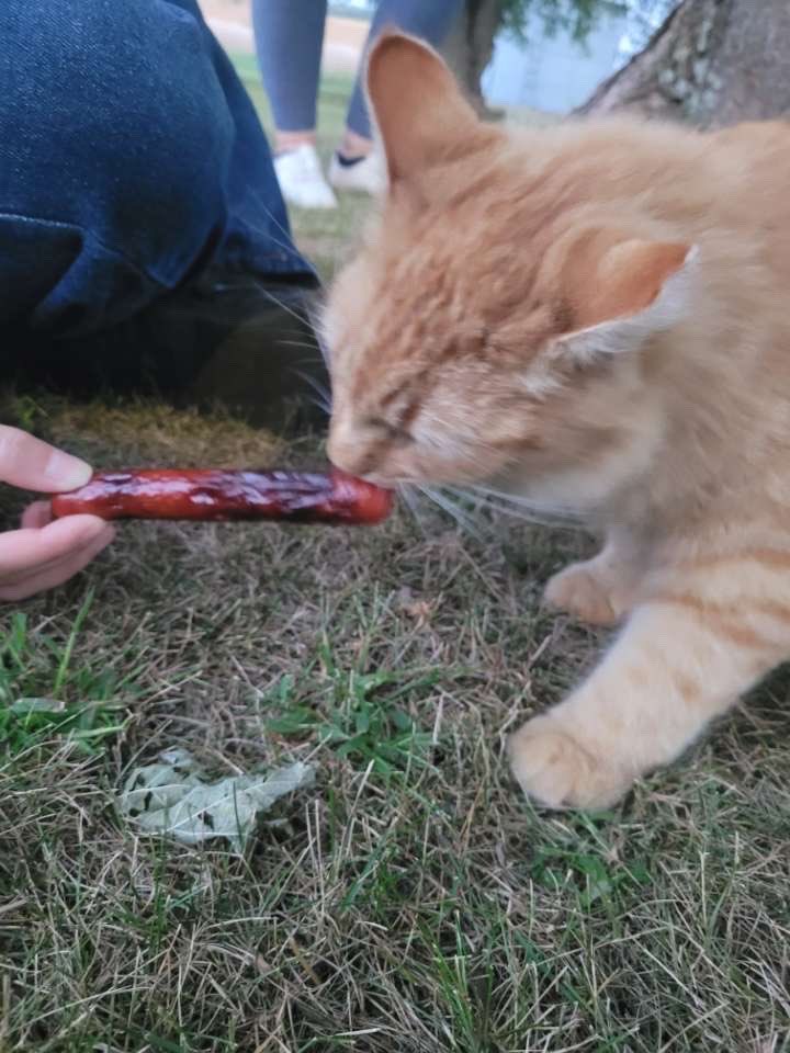 mars oh-heely-uh tweet media