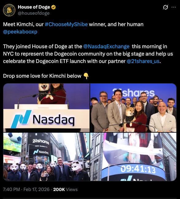 EazyGems's tweet photo. DOGE ETF DOG

The representative of memecoin on NASDAQ

The first of something good , a narrative to save the trenches 

Remember its a dog not a food 🍔🐶

$KIMCHI @kimchicoin_eth 

0x2b566950BA2298AcEf3c730CC0129b2f4fBd30a3

$NEIRO $KURUMI $DOGE https://t.co/GXrEKgbYp7