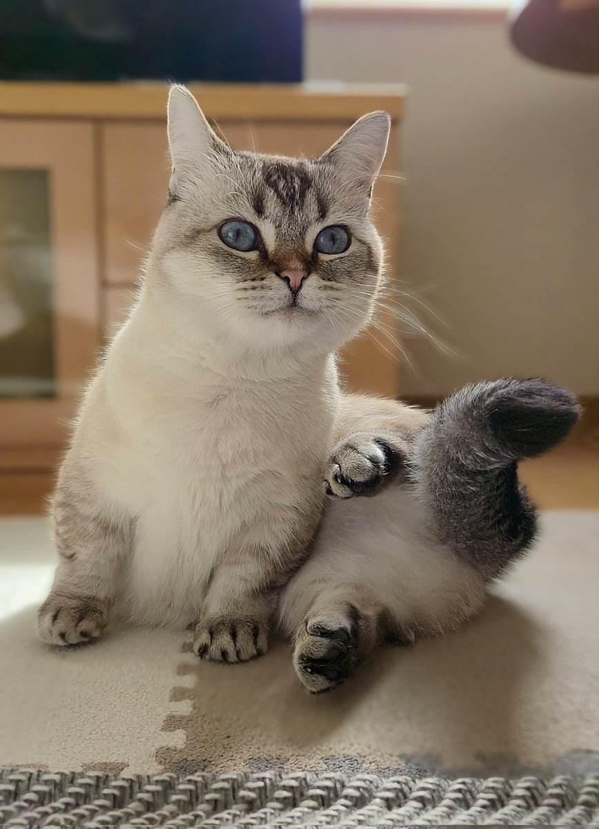 まるママ (@maruchannel0820) / Posts / X