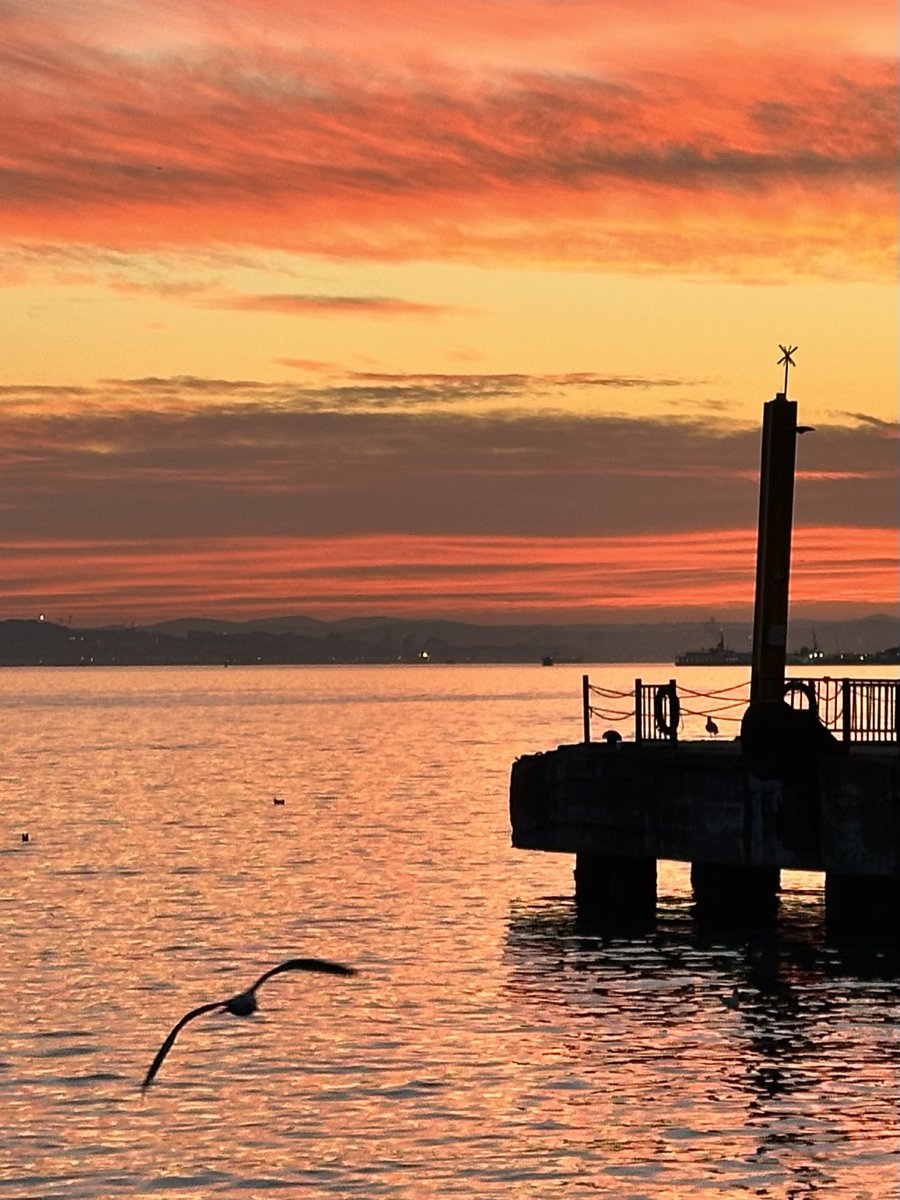 “Beyin nasıl düşünce üretir?” sorusundan “Yaşam nasıl yaşantılar üretir?” sorusuna 15 adımlık bir bilimsel yolculuk👇

İlk video Prof Dr Çetin Balanuye’nin konuyu sunuş konuşması, ikincisi bu bilim macerasının anlatımı👇
1. youtu.be/6gC-dsvh8Z4
2. youtu.be/NpGwd4r_Mg4