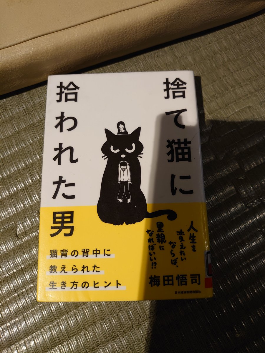 sps929 222 ニャンニャンニャン 尻尾が白いネコがいたよ 尾もしろい