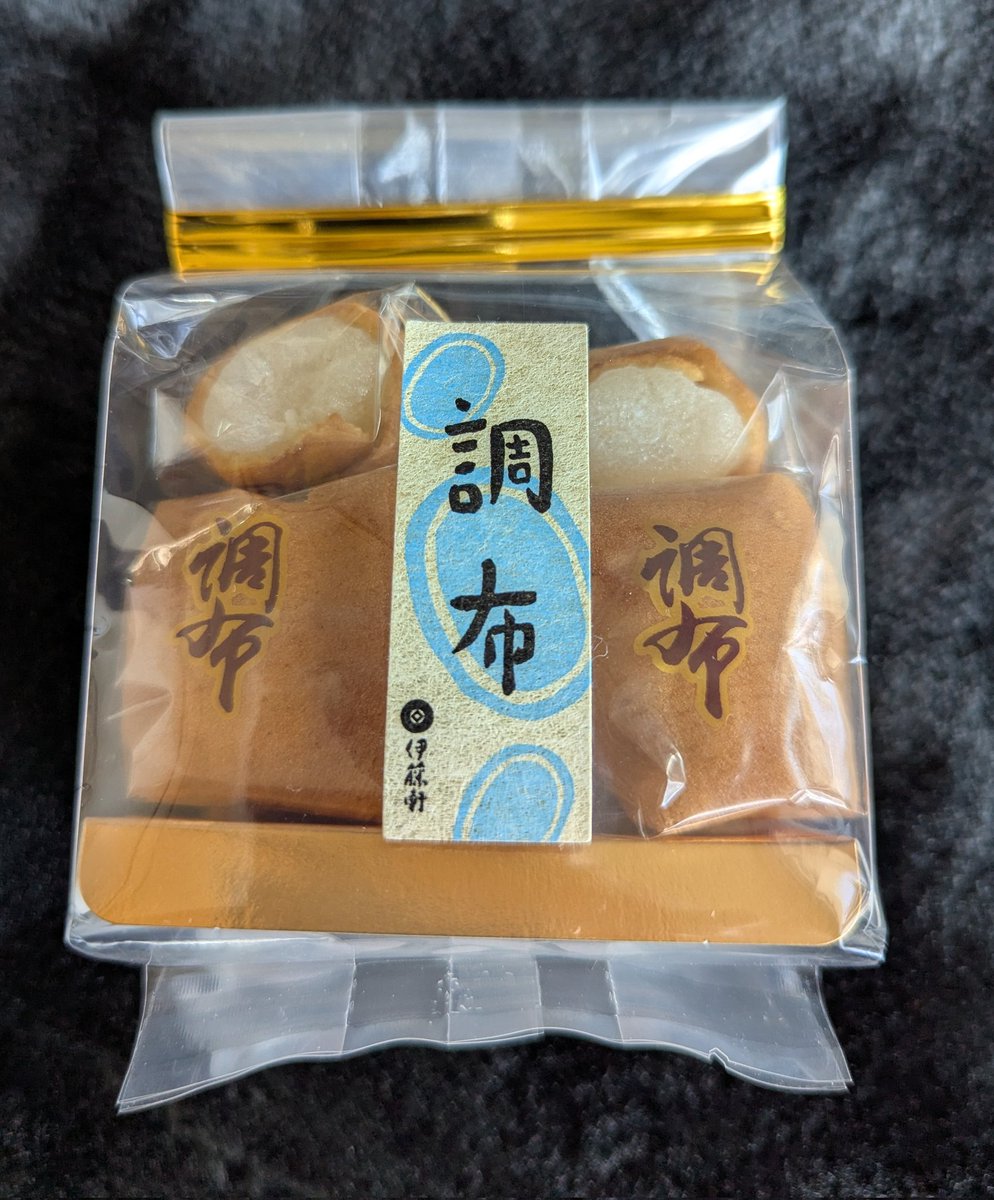 下の子をお迎えしました🐶 お名前なににしようかなぁ。