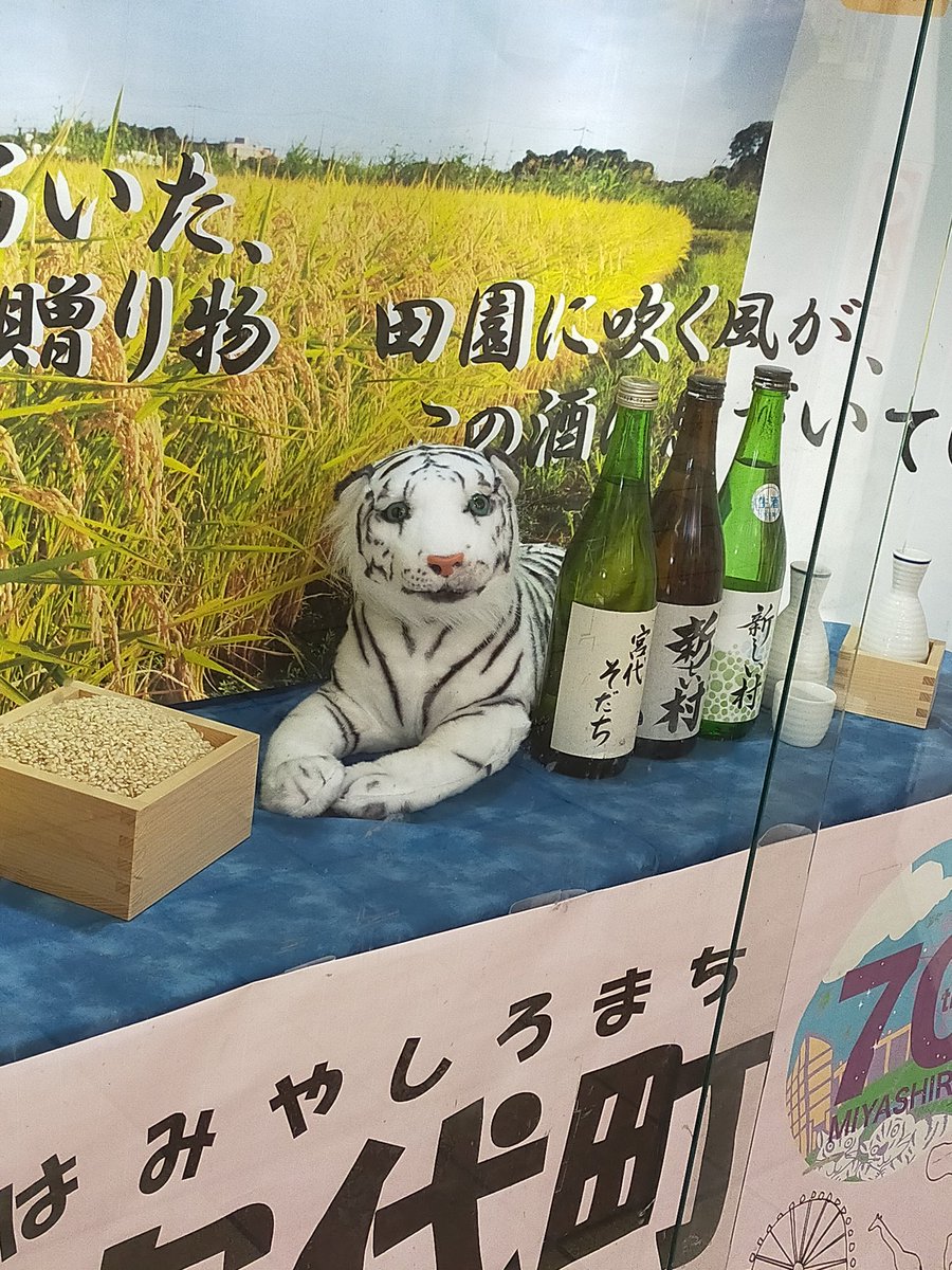 れんれん (@lenlen1187) / Posts / X