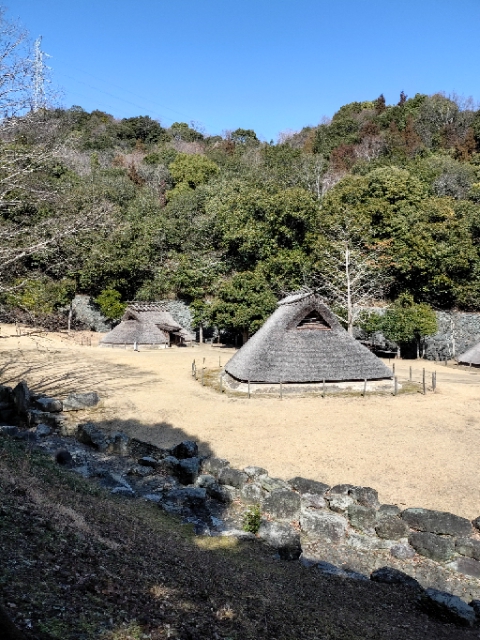 bigone3012's tweet photo. 春を感じた1日①
#蝋梅　#阿波史跡公園　#徳島　#バレンタインデー https://t.co/LHI0mb5DP4
