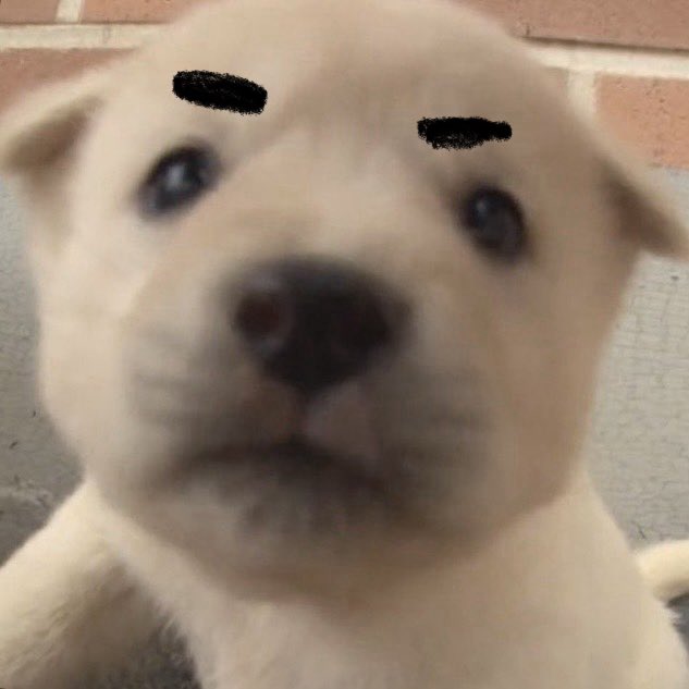 리 (@leheee2e) on Twitter photo 